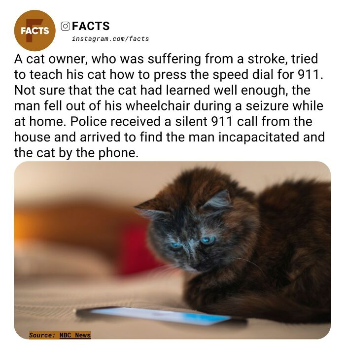 Interesting-Unknown-Facts