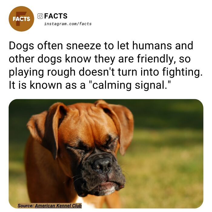 Interesting-Unknown-Facts