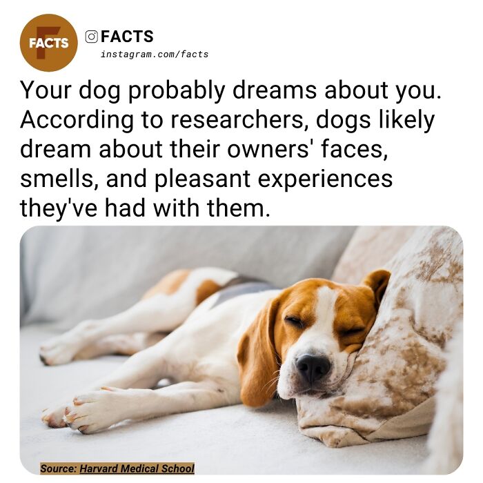 Interesting-Unknown-Facts