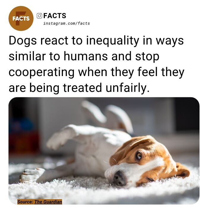 Interesting-Unknown-Facts