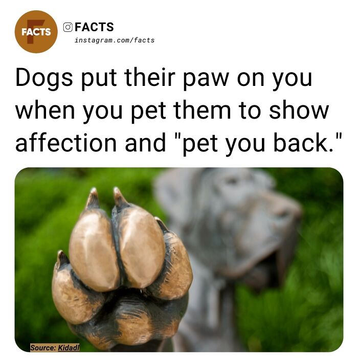 Interesting-Unknown-Facts