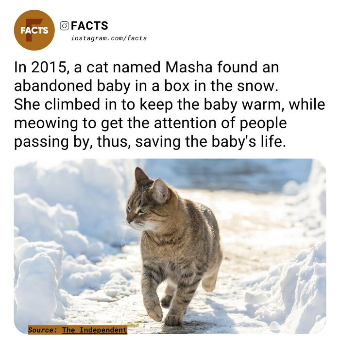 Interesting-Unknown-Facts