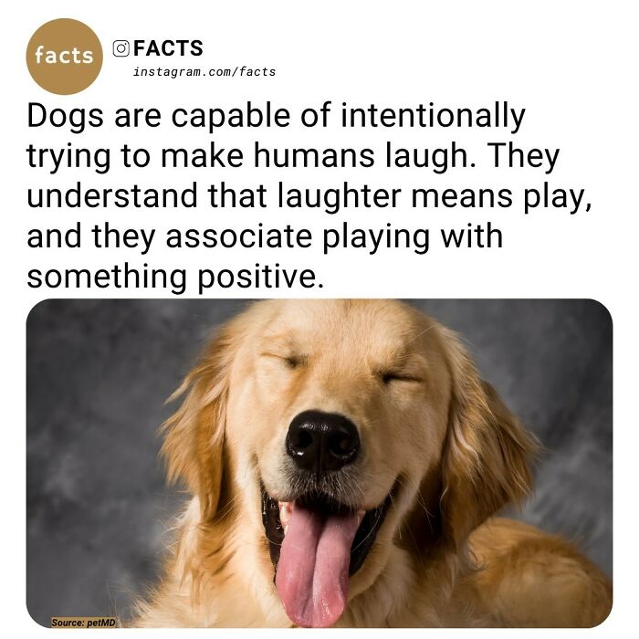 Interesting-Unknown-Facts