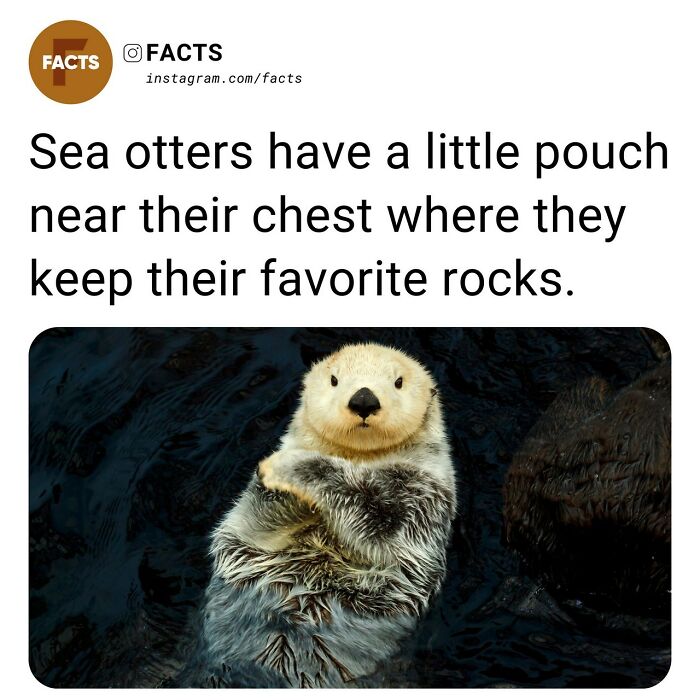 Interesting-Unknown-Facts