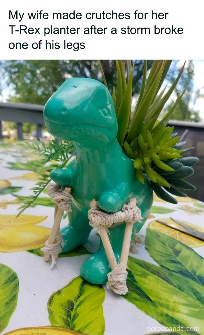 Green T-Rex planter with handmade crutches, a wholesome meme reminding us the world isn’t all bad.