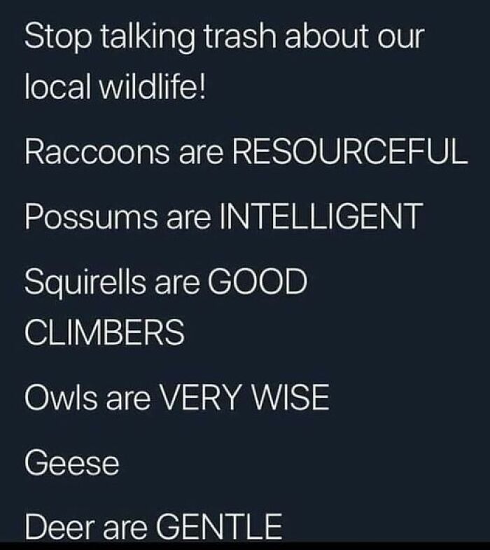 Text meme highlighting positive traits of local wildlife, sharing wholesome and uplifting messages about animals.