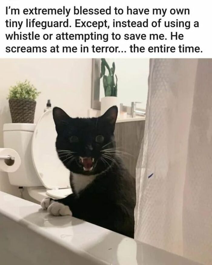 Black cat sitting on bathtub edge, looking alarmed, in a bright bathroom, a wholesome meme reminding us the world isn’t all bad.