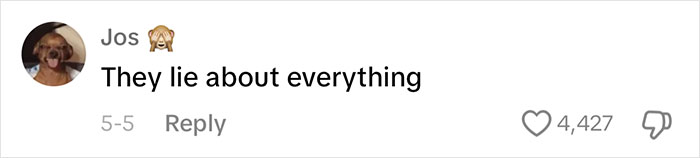 Guy Reveals What Men Mean When They Lie About Going To Help A Buddy, Others Say They Do It Too