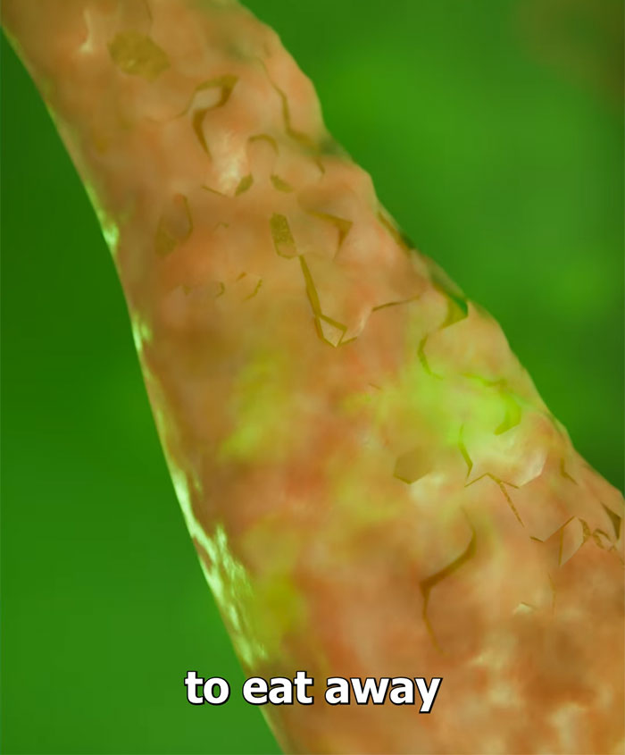 Horrifying Simulation Of Man Who Fell Into Hot Spring And Dissolved In A Day Goes Viral