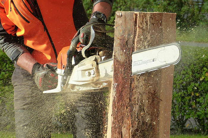 50 People Share The Most Bone-Chilling Medical Facts That Might Give You Goosebumps