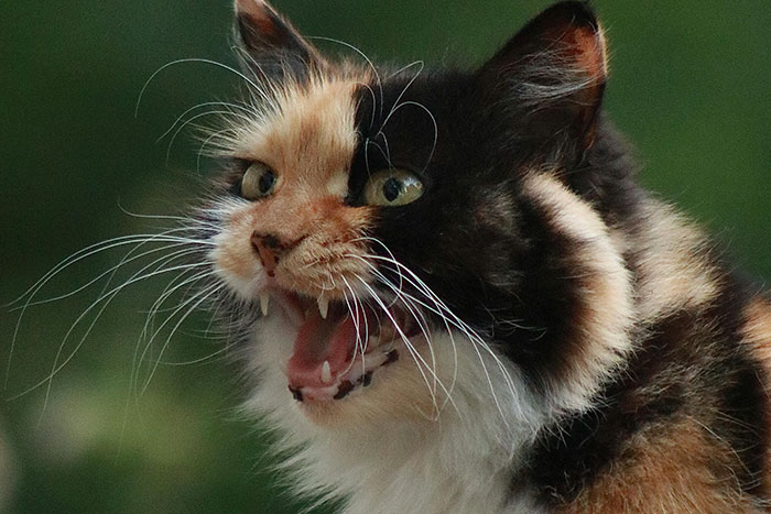 50 People Share The Most Bone-Chilling Medical Facts That Might Give You Goosebumps