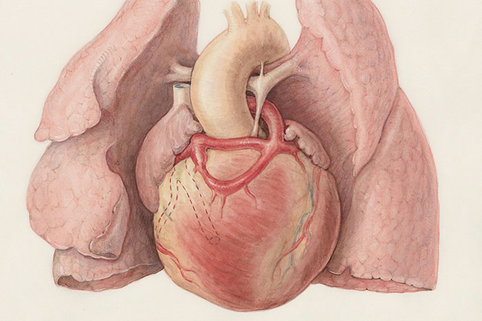 50 People Share The Most Bone-Chilling Medical Facts That Might Give You Goosebumps