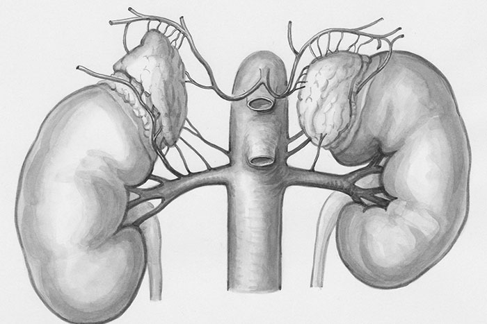 50 People Share The Most Bone-Chilling Medical Facts That Might Give You Goosebumps