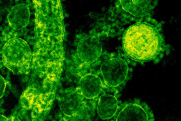 50 People Share The Most Bone-Chilling Medical Facts That Might Give You Goosebumps