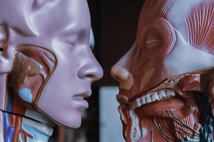 50 People Share The Most Bone-Chilling Medical Facts That Might Give You Goosebumps