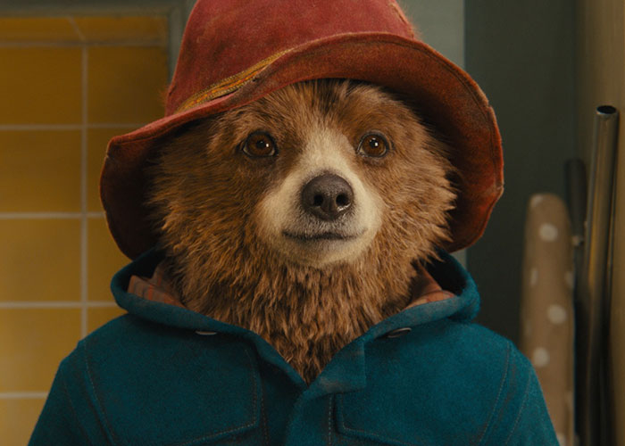 Paddington bear wearing a red hat and blue coat, a popular character in surprising film adaptations from books.