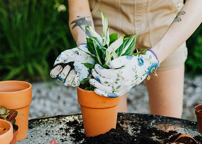 &ldquo;We Called The Police&rdquo;: Newcomer Discovers Her Bench And Plants Displayed In Neighbors&rsquo; Yard