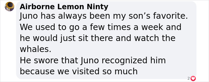 Adorable Video Of Beluga Whale&rsquo;s Interaction With Boy Goes Viral, People Can&rsquo;t Get Enough Of It