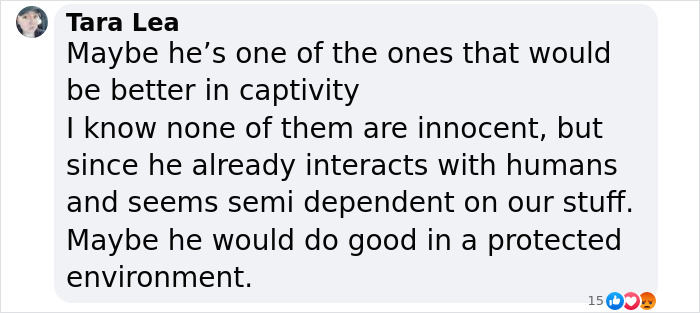 Netizens Can&rsquo;t Get Enough Of This Walrus Who Was Given His Own Raft So He Would Stop Sinking Boats