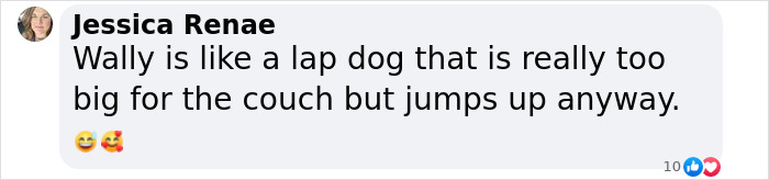 Netizens Can&rsquo;t Get Enough Of This Walrus Who Was Given His Own Raft So He Would Stop Sinking Boats