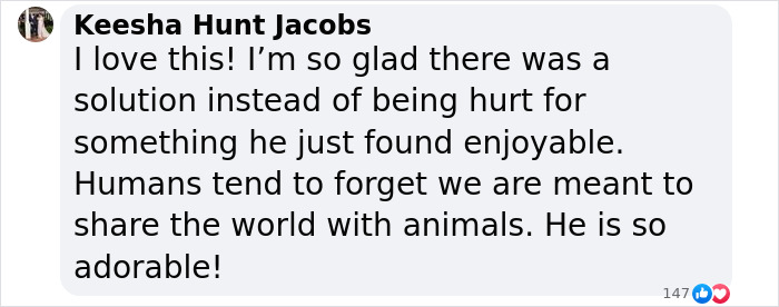 Netizens Can&rsquo;t Get Enough Of This Walrus Who Was Given His Own Raft So He Would Stop Sinking Boats