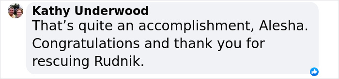 A Special Bond Between A Rescue Horse And His Owner&rsquo;s Fianc&eacute; Is Melting Hearts On The Internet