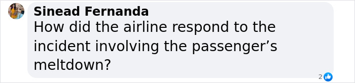 US Tourist Sparks Debate On Airport Etiquette After Trying To Kick Down Airplane&rsquo;s Door