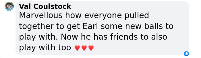 A Touching Story Of A Sad Donkey Whose Ball Popped, But People Made Sure He’ll Never Be Lonely Again A Touching Story Of A Sad Donkey Whose Ball Popped, But People Made Sure He’ll Never Be Lonely Again