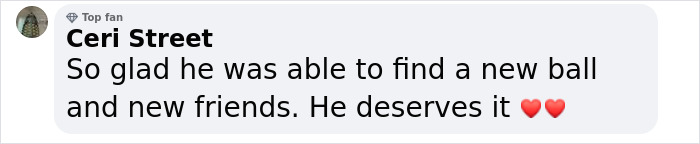 A Touching Story Of A Sad Donkey Whose Ball Popped, But People Made Sure He’ll Never Be Lonely Again A Touching Story Of A Sad Donkey Whose Ball Popped, But People Made Sure He’ll Never Be Lonely Again