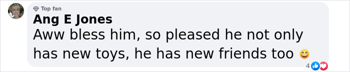 A Touching Story Of A Sad Donkey Whose Ball Popped, But People Made Sure He’ll Never Be Lonely Again A Touching Story Of A Sad Donkey Whose Ball Popped, But People Made Sure He’ll Never Be Lonely Again