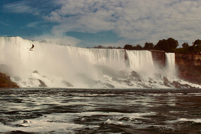 Dramatic waterfall with mist and seagull over rushing river, a popular place visited that lived up to the hype