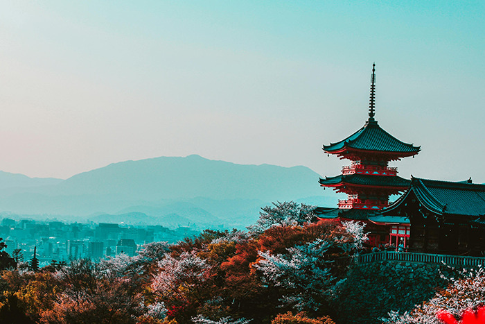 Pagoda and cherry blossoms overlooking Kyoto, a popular place visited that lived up to the hype