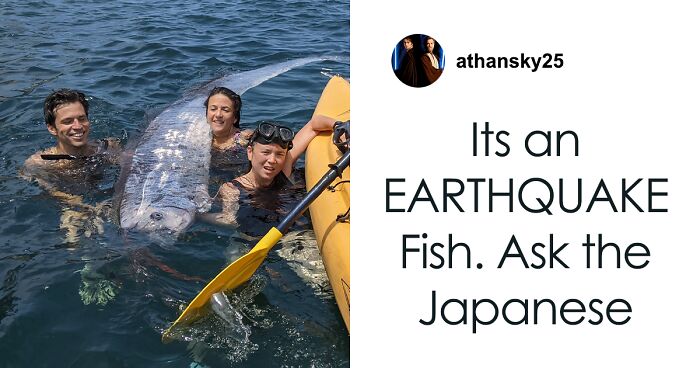 “Bad Omen”: Rare Sea Serpent Surfaces In San Diego Waters, Linked To Earthquake Legend