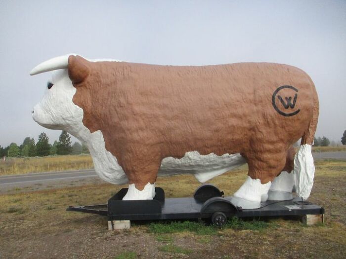 Intersection Of Montana Rte 83 And Montana Rte 200