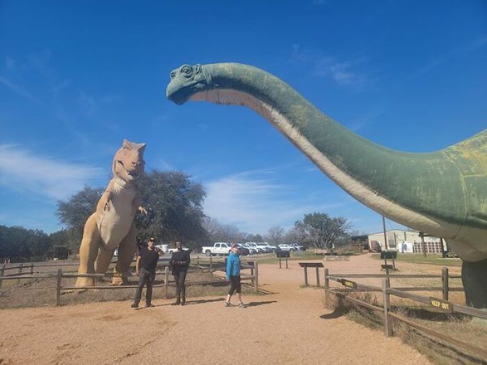 Dinosaur State Park, Glen Rose, Texas. These Dinos Were Originally Made For The 1964 Worlds Fair In NYC. Which I Attended!