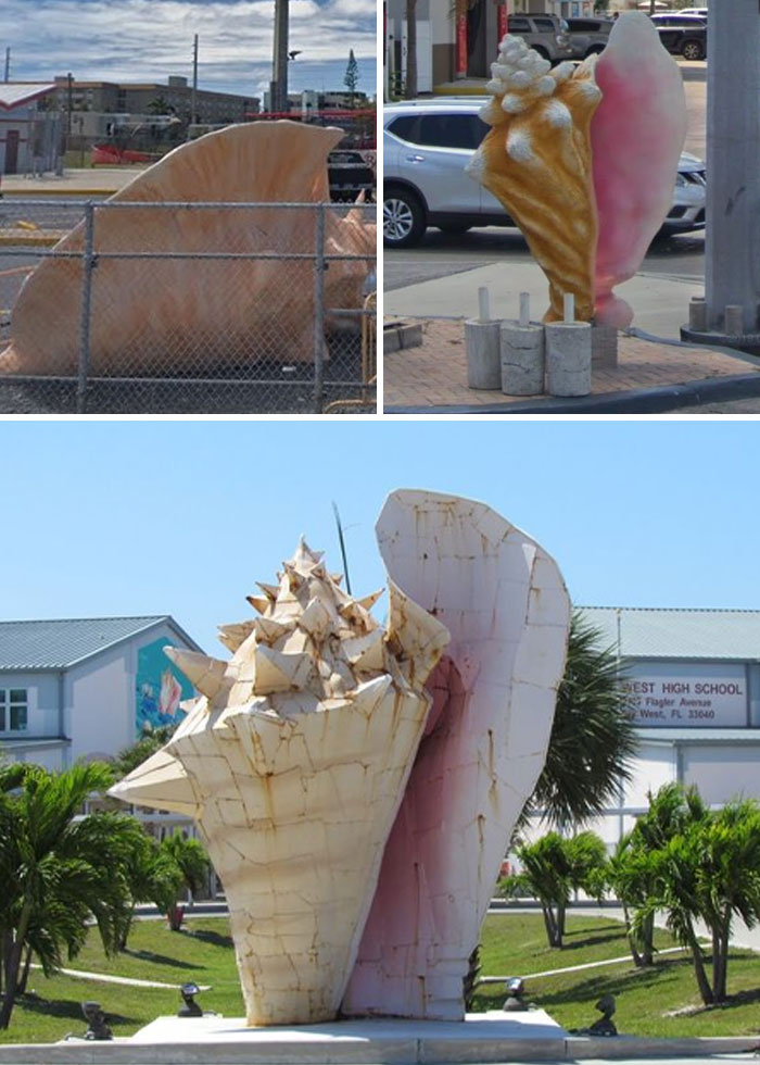 3 Large Conch Shells In Key West