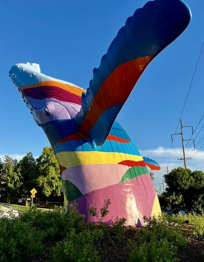 Has Anyone Been To The Whale Statue In The 9th And 9th District In Salt Lake City, Utah. Very Colorful