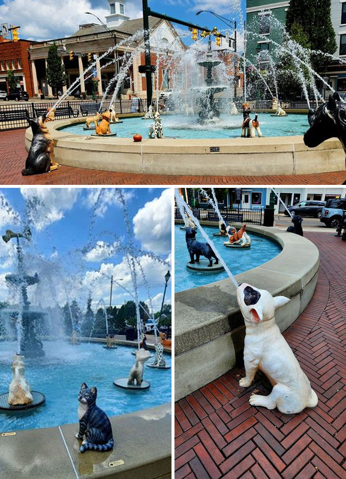South Main Plaza Fountain In Mt Vernon, Oh. Some Of The Dogs Have Been Sponsored And Each One Has A Plaque That Tells What It Is. There's One Cat And 3 Birds Also