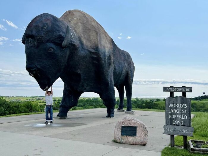World’s Largest Buffalo 🦬 Jamestown, North Dakota At The Frontier Village