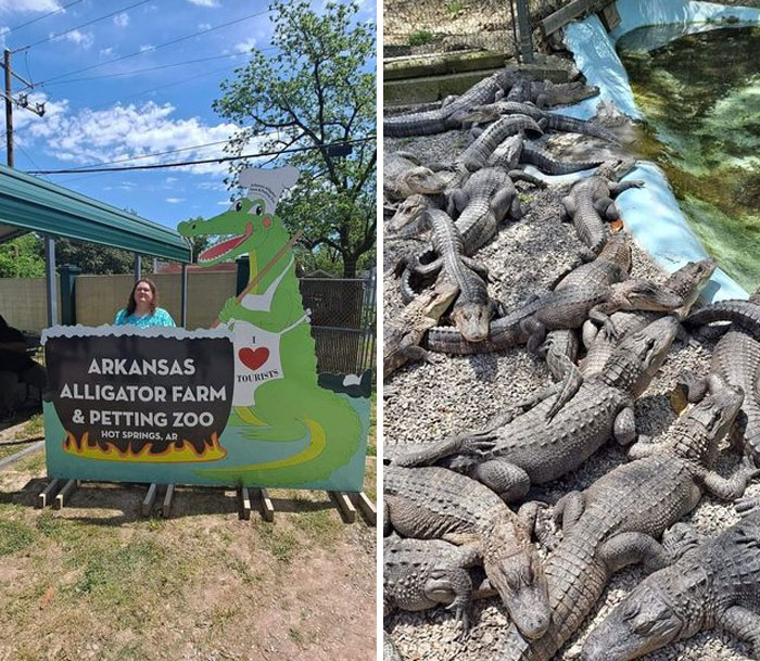 Arkansas Alligator Farm And Petting Zoo