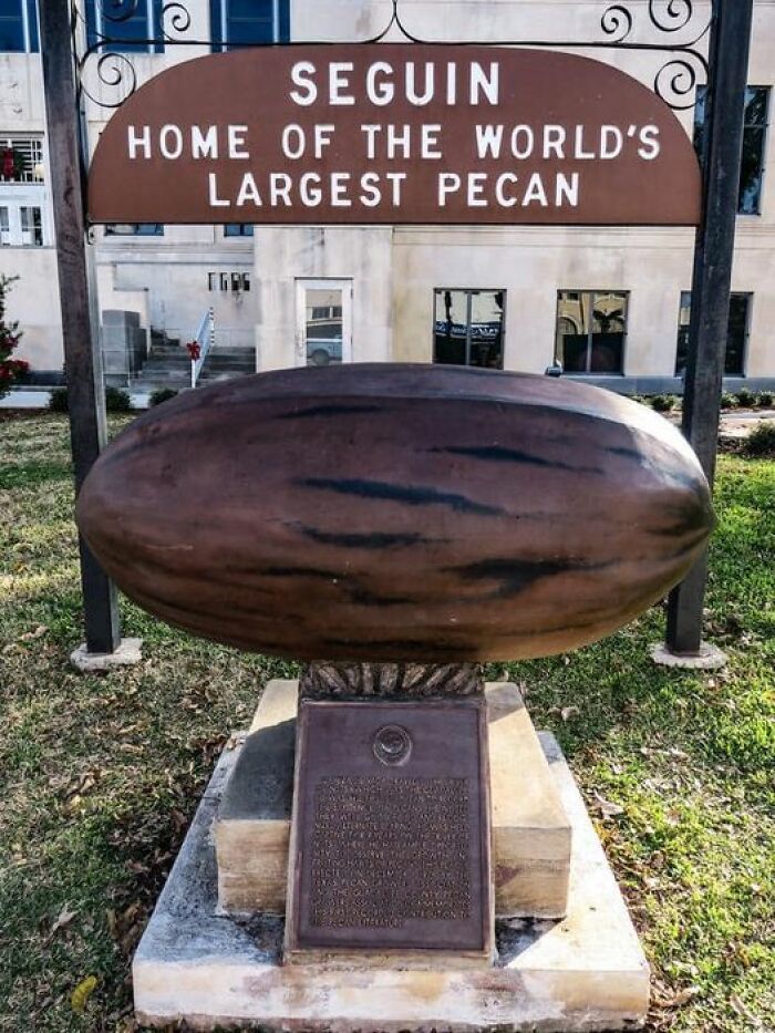 Seguin, TX. World’s Largest Pecan