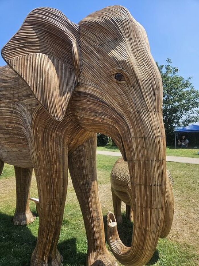 The Great Elephant Migration Traveling Exhibit In Newport, Rhode Island
