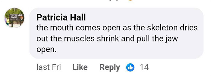 &ldquo;So Horrible&rdquo;: Virtual Autopsy Reveals Ancient Egyptian Mummy&rsquo;s Heart-Wrenching Secret