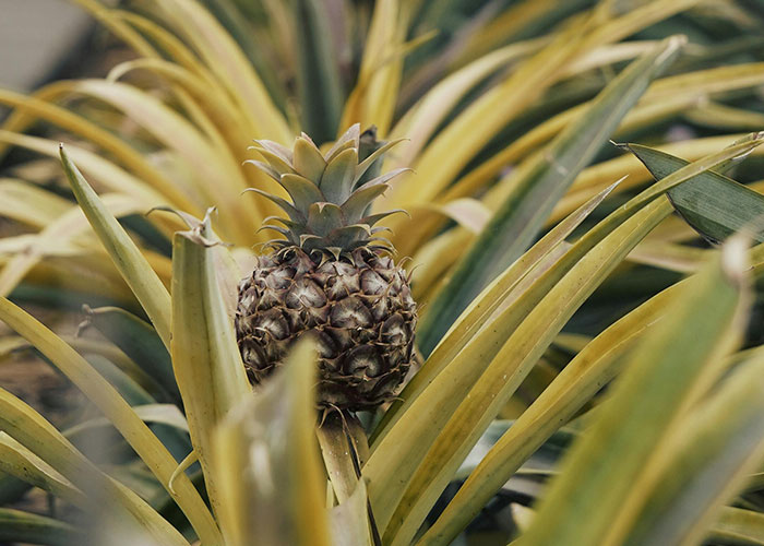 50 Things People Never Thought They’d Have To Explain To Another Adult