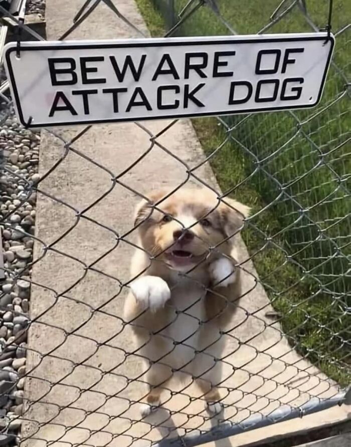 Strange-Stupid-Silly-Signs