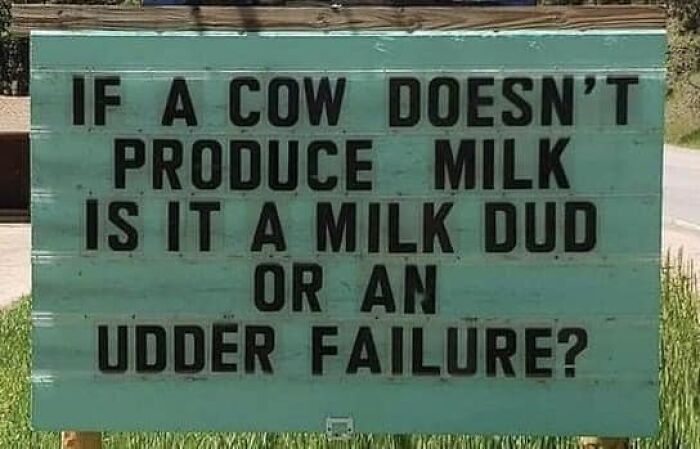 Strange-Stupid-Silly-Signs