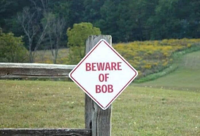 Strange-Stupid-Silly-Signs