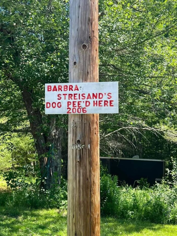 Strange-Stupid-Silly-Signs