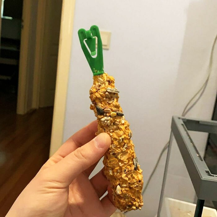 Guys, Hear Me Out, Forbidden Tempura