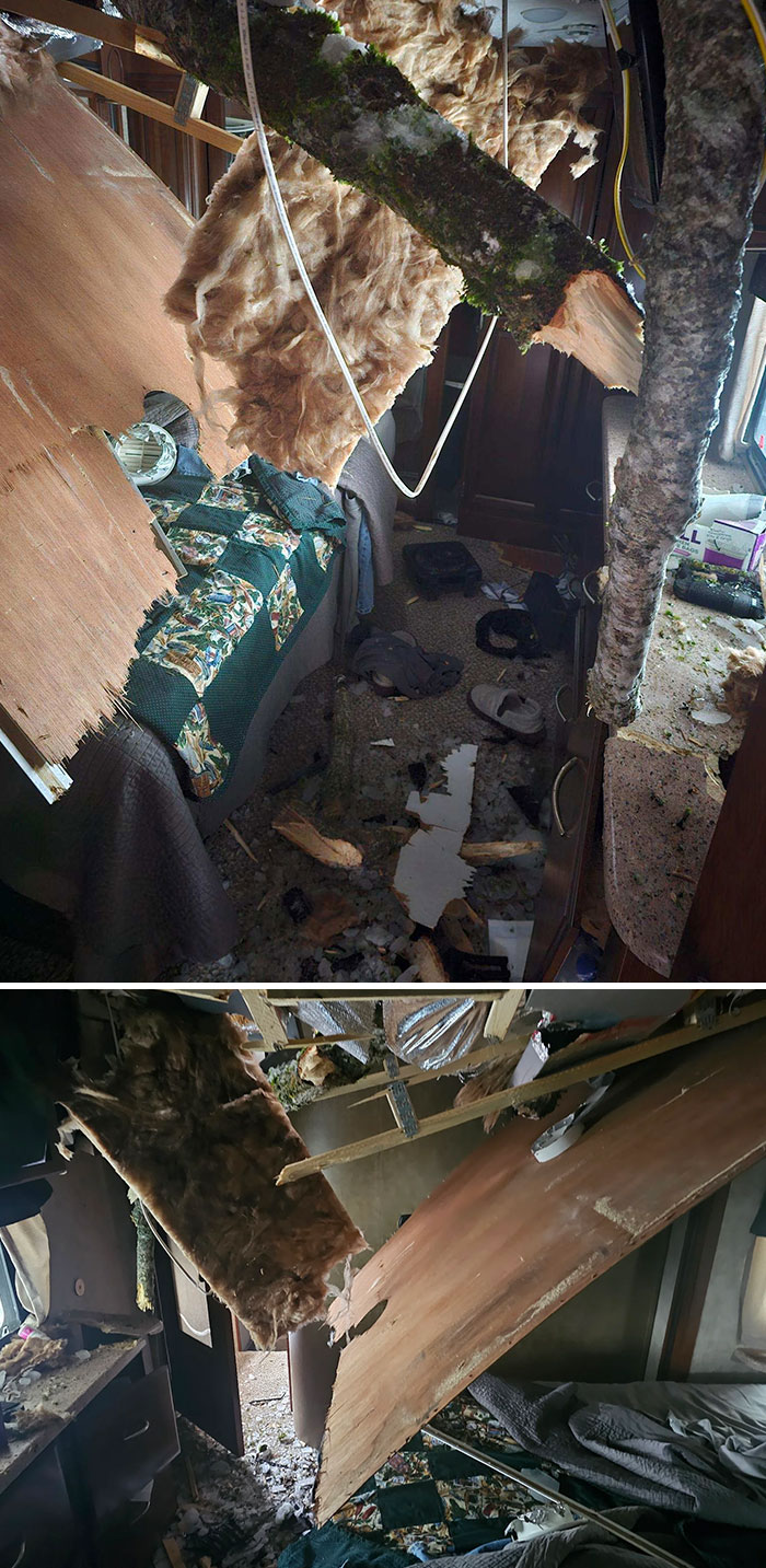 Indoor damage with broken ceiling and fallen tree branches after nature caused destruction on the roof and inside the room.